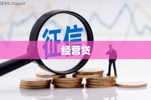 东宝经营贷